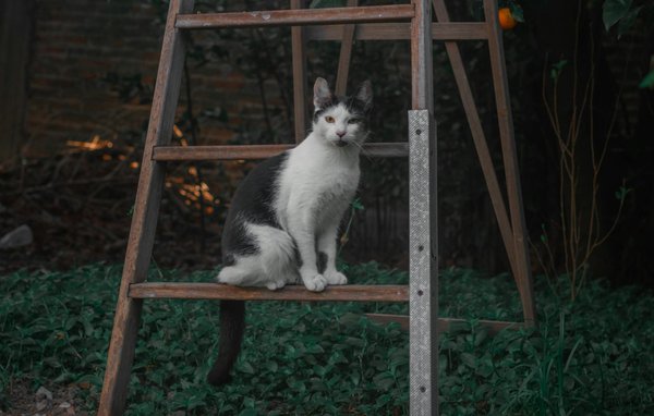 What are the best ways to organize small spaces in UK homes?